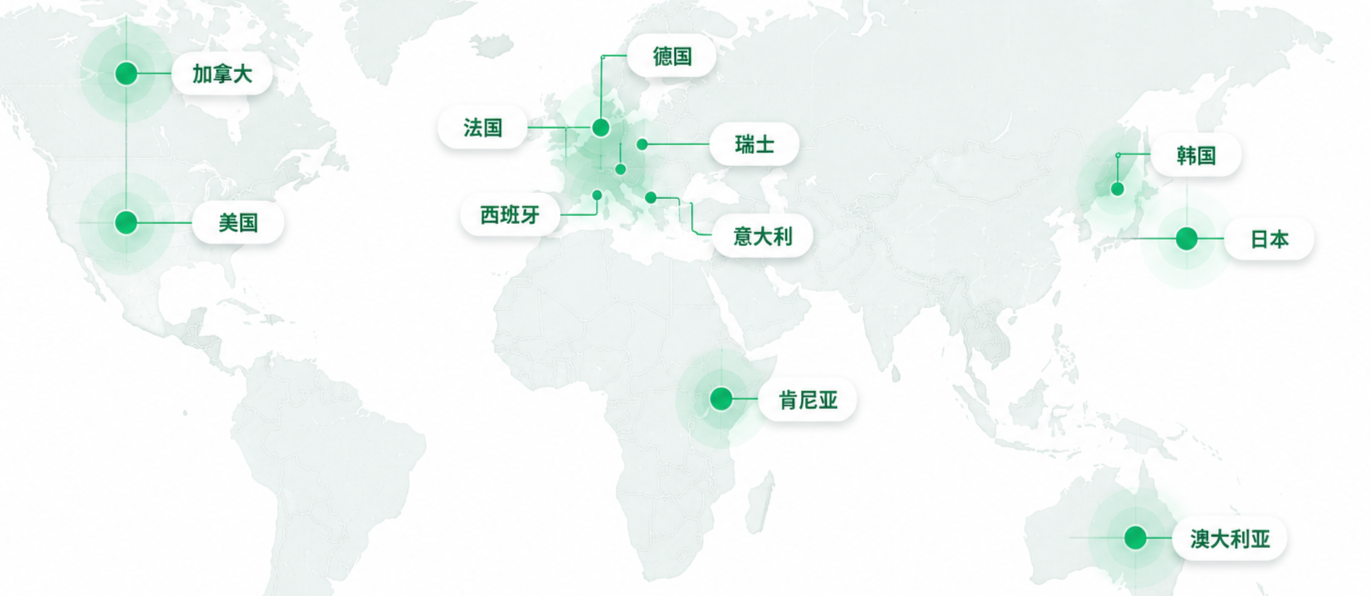 11 个国家真实交付足迹 · 世界地图